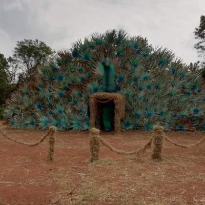 Whatsapp Image 2023 10 04 At 08.58.51 15339098